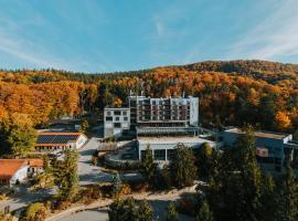 Peakture Hotel Balvanyos, отель в городе Балваниос