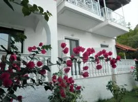 Aktipis Studios