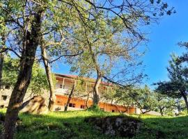 Mushkudiani Manor, hotel in Mestia