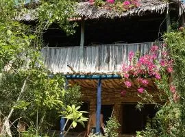 Blue Monkey Beach Cottages