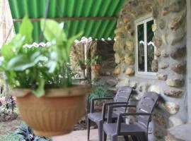 Jungle Book Resort