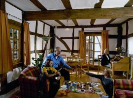 Historische Wassermühle, Hotel in Birgel