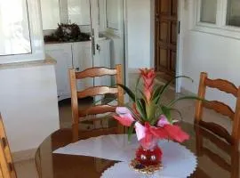 Apartmani Jašarević