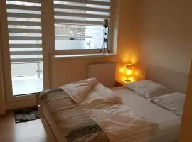 Pas Rasą