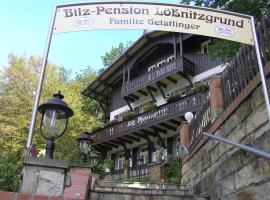 Bilz-Pension, отель в Радебойле