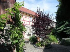 Charming holiday home in Thuringen near the lake, hotel with parking in Kelbra