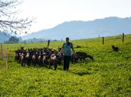 Agroturistika kozí farma Rožnov pod Radhoštěm, lavprishotell i Rožnov pod Radhoštěm