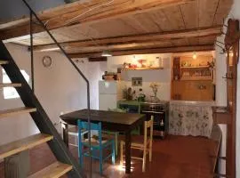 Casa Acquarossa