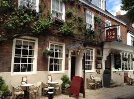 The Old Vine, hotel a Winchester