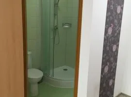 Penzion Janovice