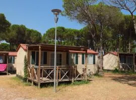 Mobile Home in Cesenatico by Adriatic Sea