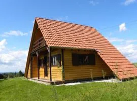 Chalet in Dabo near Castle Ruins