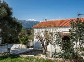 Traditional House
