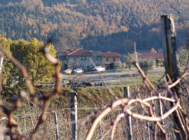 Agriturismo Il Trebbio, farm stay in Pelago
