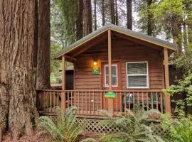 Emerald Forest Cabins