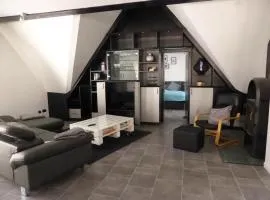 CityStudiosTreysa