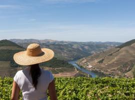 Casa De Casal De Loivos, casa rústica no Pinhão
