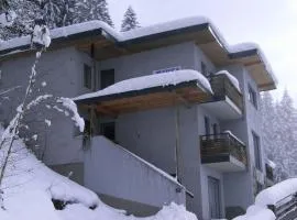 Apartment in Aschau near Ski Lift Kaltenbach