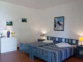 Comfortable holiday home with terrace