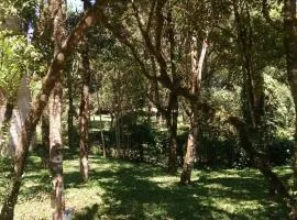 Frio em Monte Verde