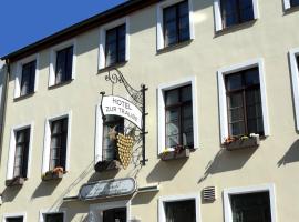 Romantisches Hotel Zur Traube Schwerin, casa de hóspedes em Schwerin