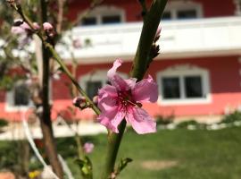 Pension Hadanig, apartmán v destinácii Techelsberg am Worthersee