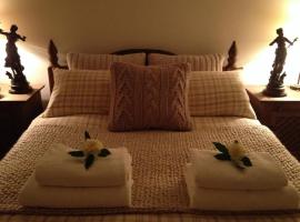 Snowdonia Snug - Studio Style Accommodation, готель у місті Долгелай