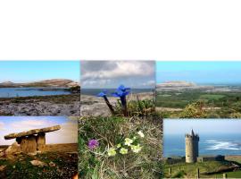 Roadside Cottage The Burren, holiday home in Kilfenora