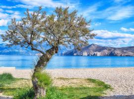 Villa Zlata - Holiday house &ndash; hotel w Ba&scaron;ce