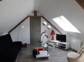 le petit Vauquelin