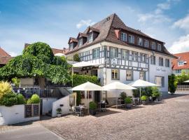 Hotel Guter Tropfen, hotel v destinaci Hagnau