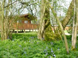 South Winchester Lodges, chalé em Winchester