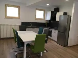 Apartment Lapanja