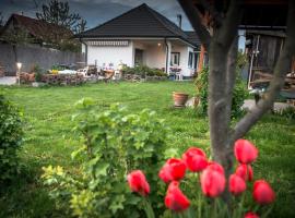 Big Garden House, cabaña o casa de campo en Dunajská Streda