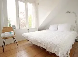 Beautiful 2 floor Vondelpark apartment.