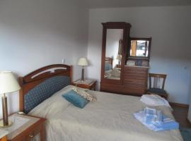S.Joao Country House, hotel in Vila Real