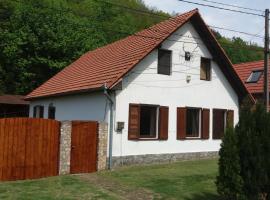 Casa Sasca Montana, Hotel in Sasca Montană