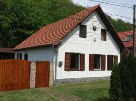 Casa Sasca Montana