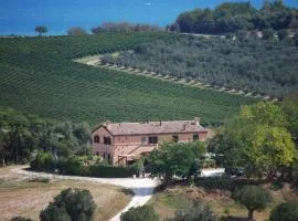 Conero mare campagna il Casale Le Maschere appartamenti