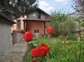 Holiday Home Vilata