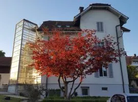 Casa Carmela