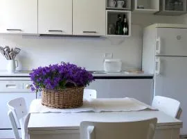 Casa Smile