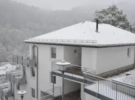 Modernes Apartment mit Zentralheizung in Willingen