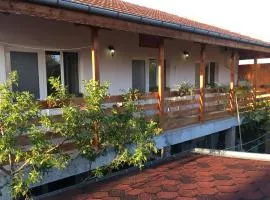 Guest House Pri Germanetsa