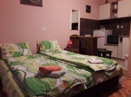 Guest House Dunavski Raj, hotel v destinaci Kostol