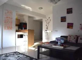 Luxury Apartament Fundeni