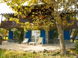 Art Provence House