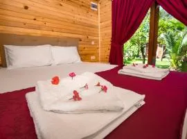 Likya Evleri Olympos