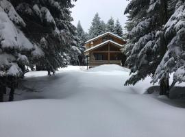 Uludag Orman Koskleri, hotel near Uludag National Park, Uludag