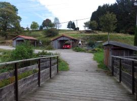 gites Les Bleuets, holiday home in Vagney